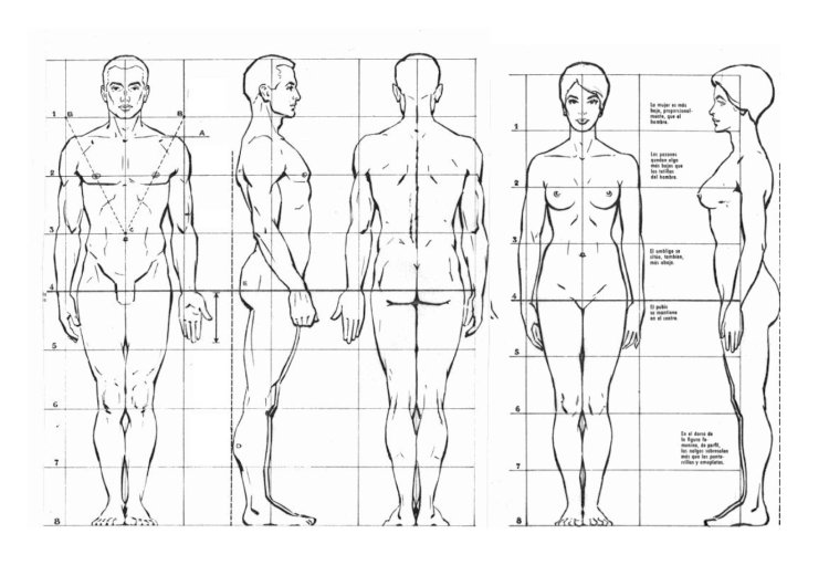 Очертания тела