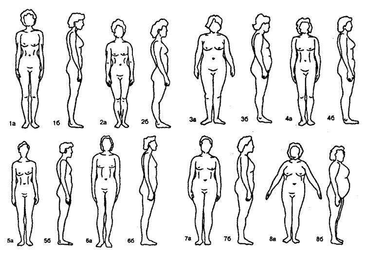 Конституциональные типы женщин