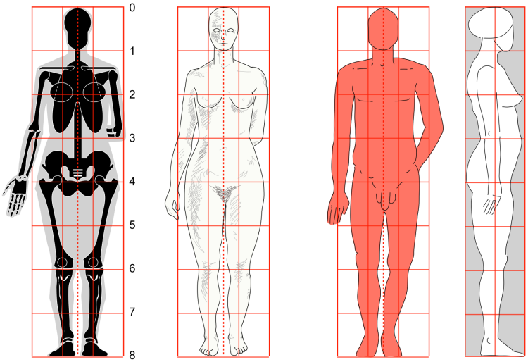 Женщина спереди и сзади