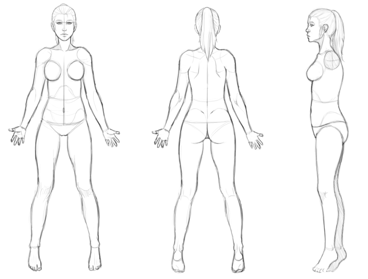 Схематичное изображение женской фигуры