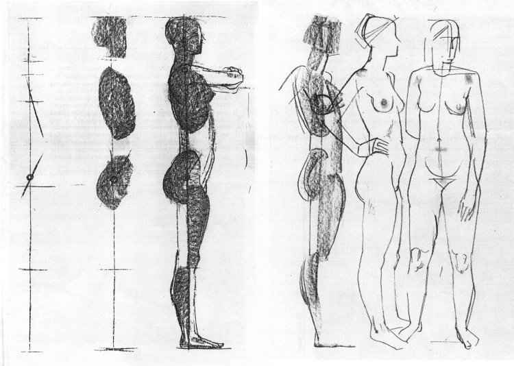 Пропорции женского тела референс