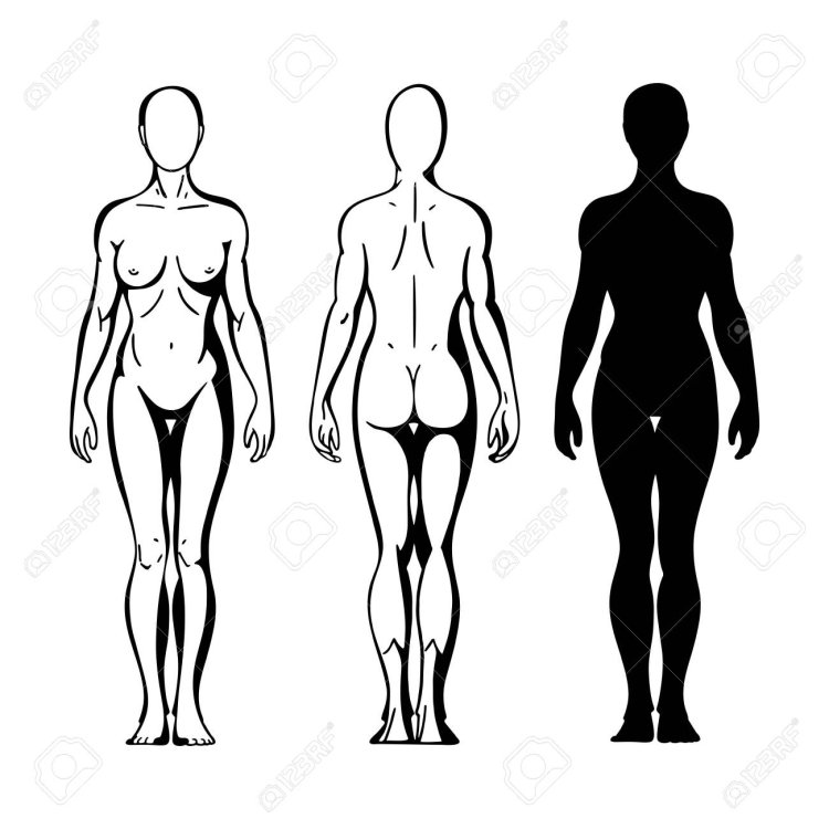 Стилизованная девушка туловище