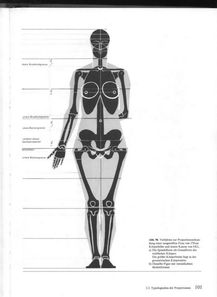 Система женских органов 3d