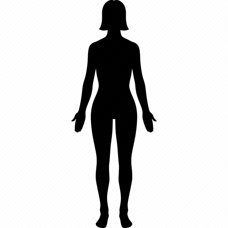 Тело человека силуэт