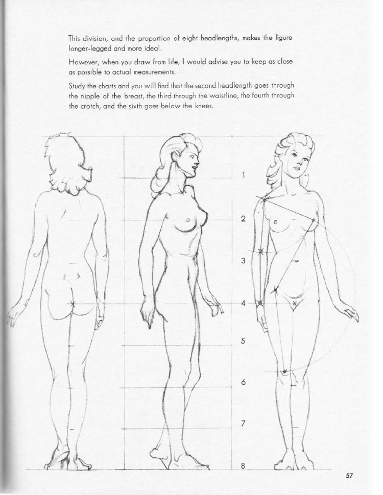 Силуэт тела