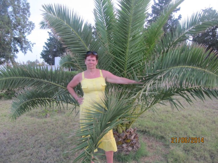 Ирина Буромских fibby