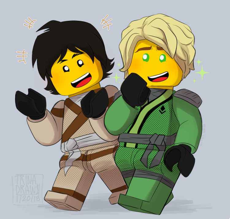 Ниндзяго Кай и Ллойд 18