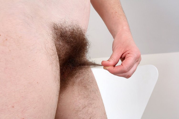 Густая растительность на киске