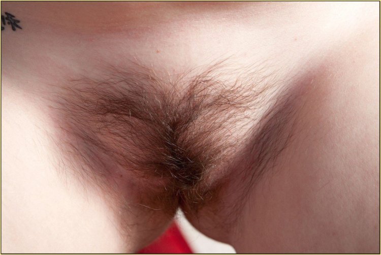Красивые волосатые женские лобки