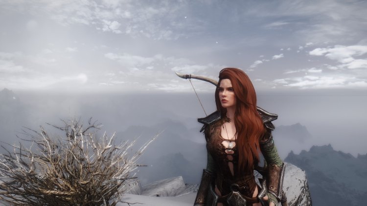 Skyrim aela the huntress