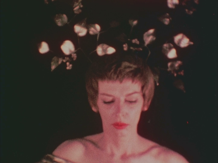 Ноэль Фишер торс