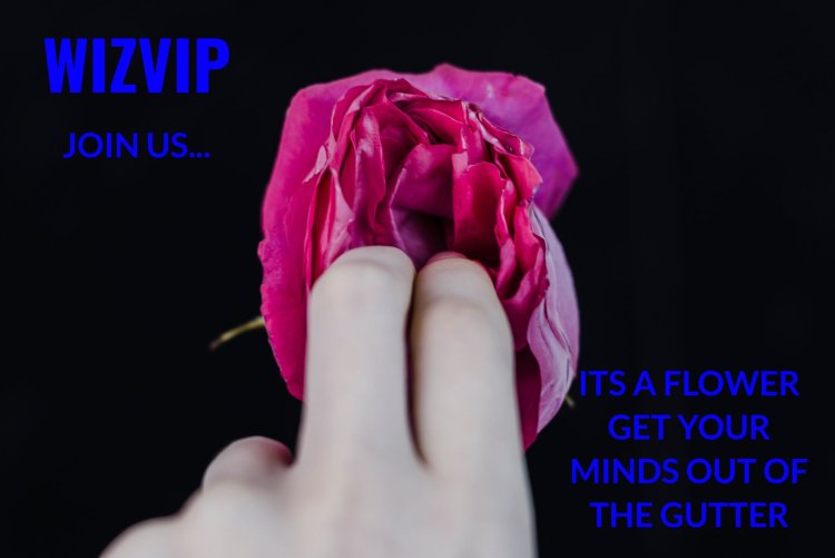 Цветок похожий на женские органы