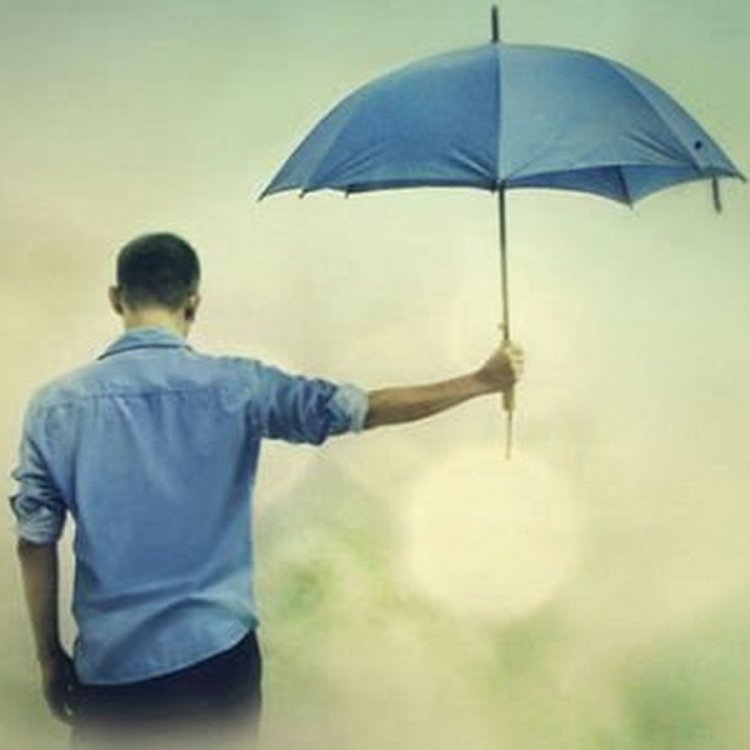 Madison Edwards Maxim