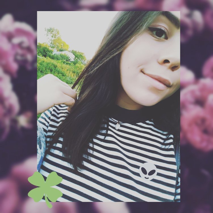 Диана Мелисон