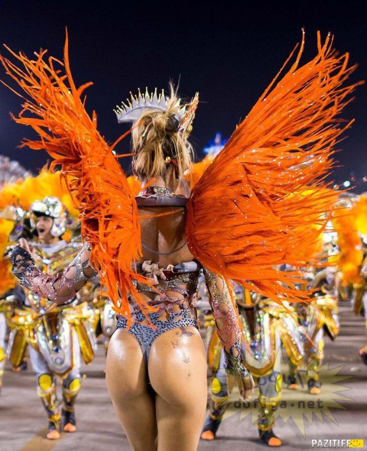 Карнавал рио де жанейро
