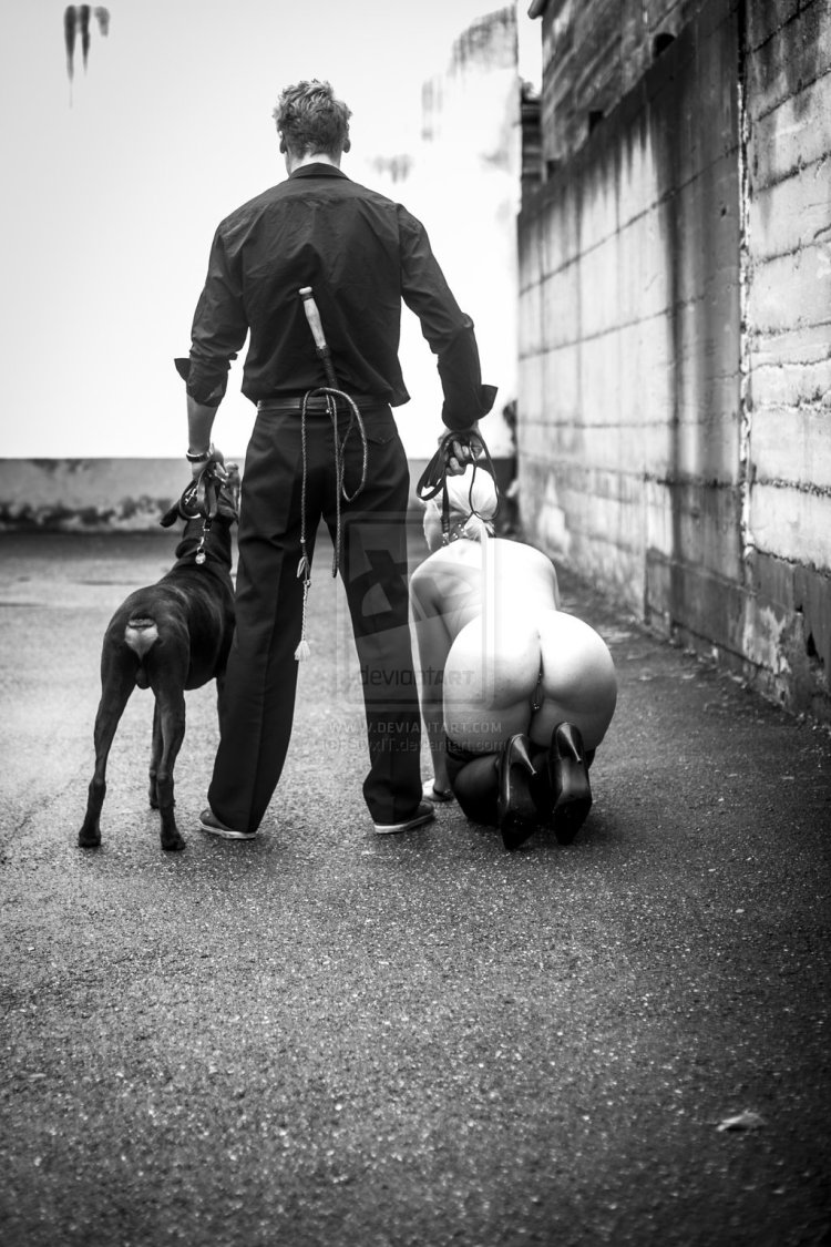 Bdsm рабыня на поводке собака
