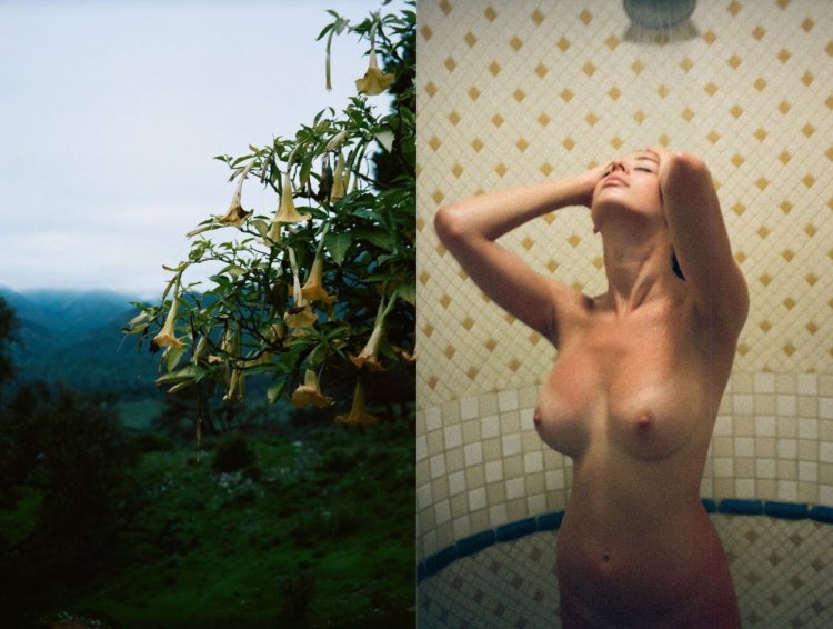 Сара MCDANIEL 18