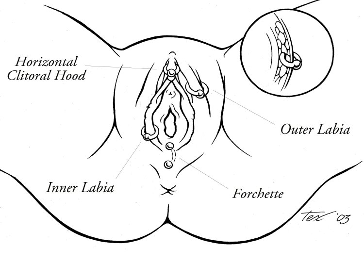 Порнографические рисунки