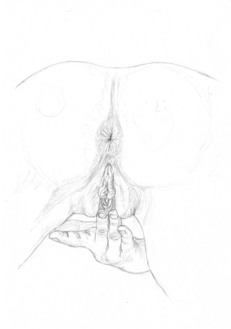 Порнографические рисунки карандашом