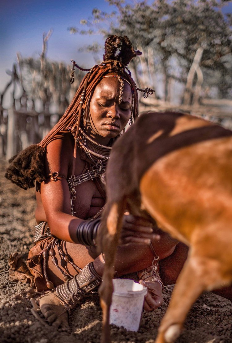Титс женщины Химба намимбы