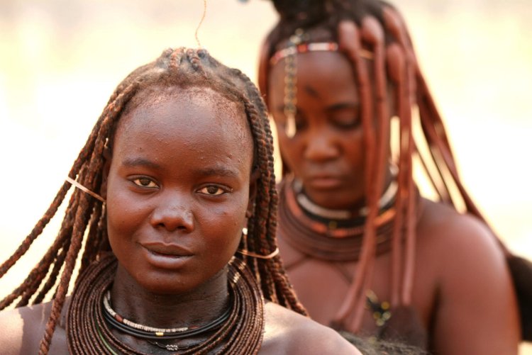 Дикие африканские фильмы.