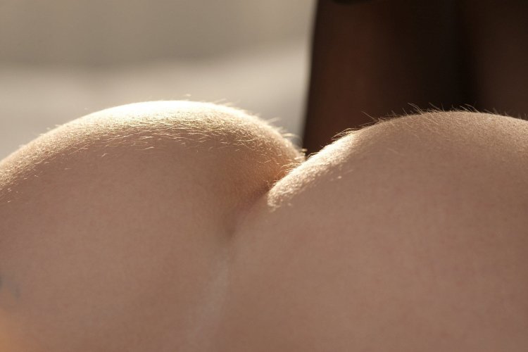 Венерин бугорок Mons Veneris