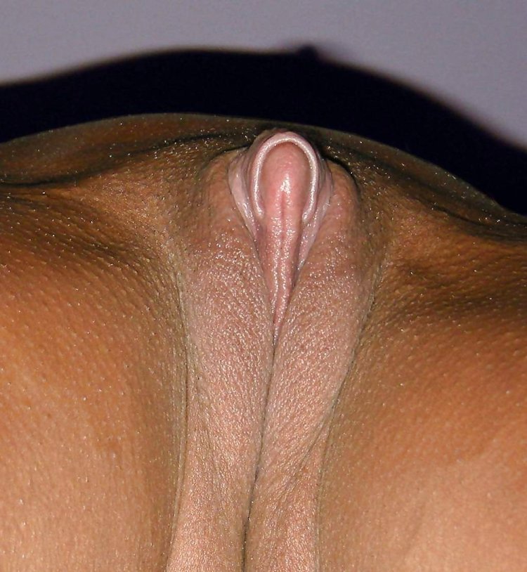 Пухленькие половые губки