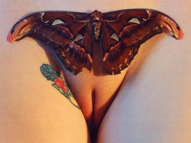 Красивые письки-бабочки