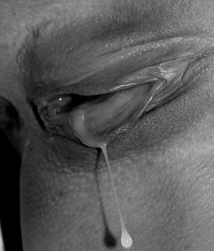 Мокрая киска крупным планом