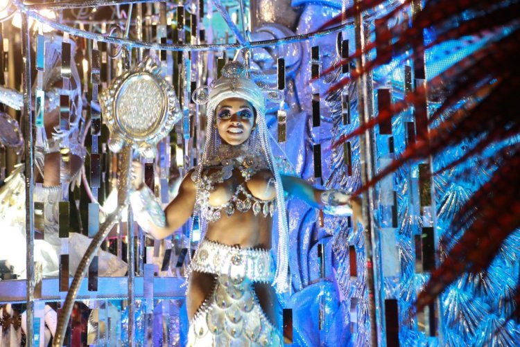 Сливы Karna.Val 18