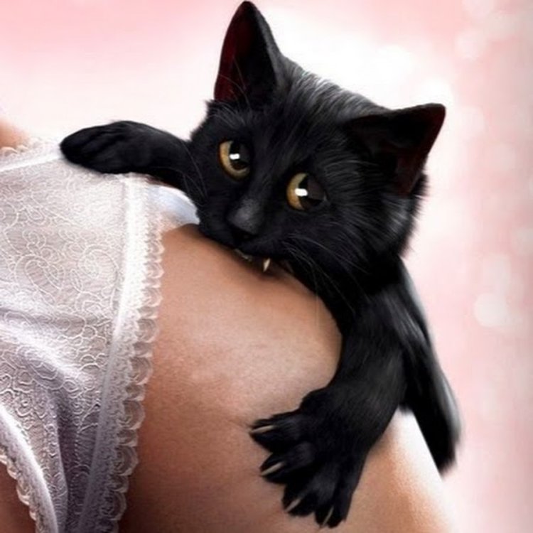 Нежный поцелуй в животик