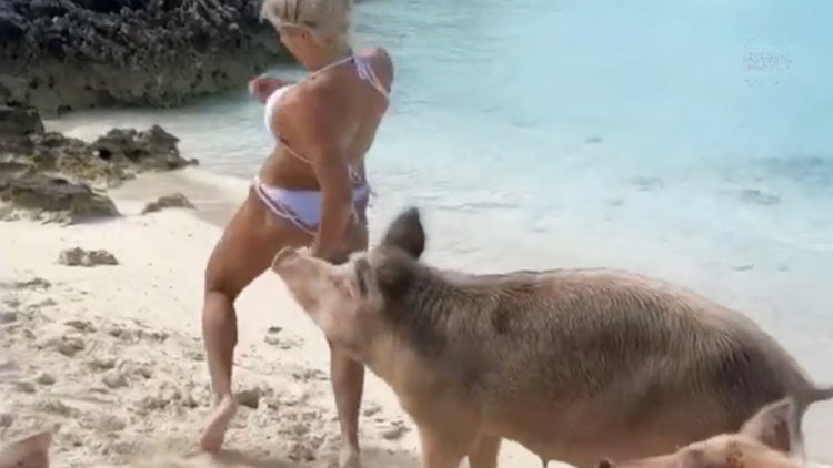 Поцелуи тела