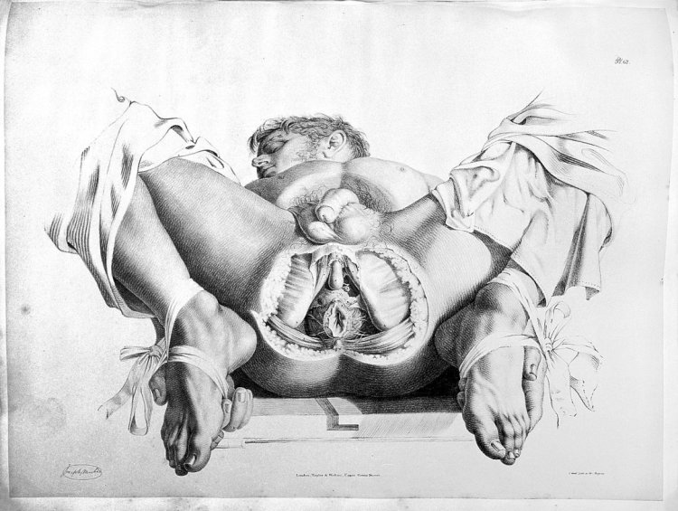 Женское влагалище снаружи