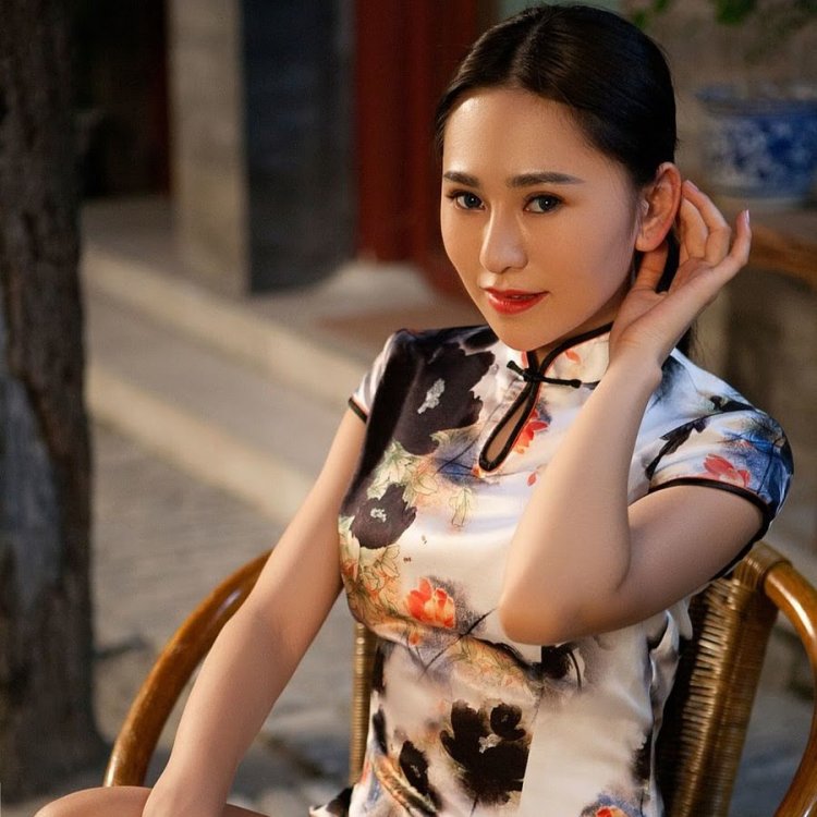 Модель Wu Muxi