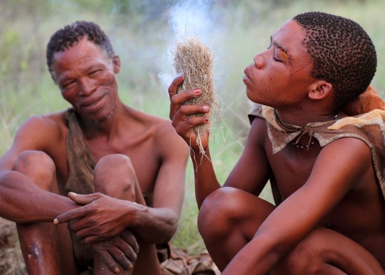 Племя готтентотов