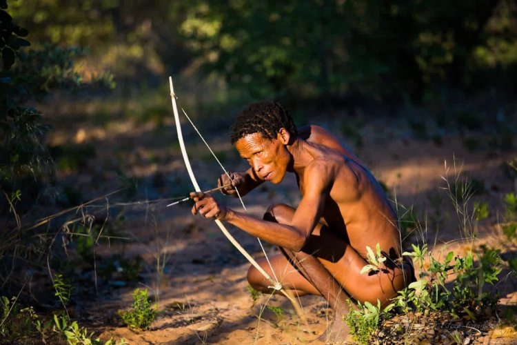 Четырехногая Миртл Корбин