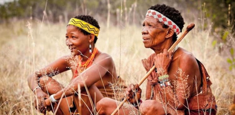 Бушмены и готтентоты