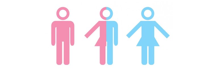 Бушмены и готтентоты