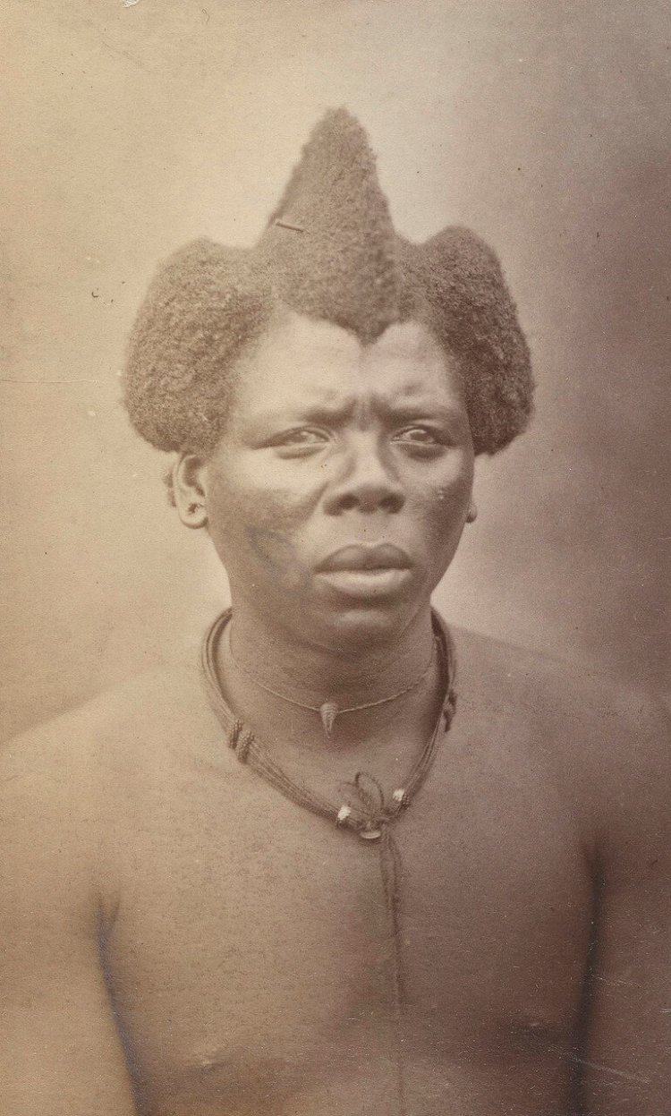 Численность готтентоты в Африке