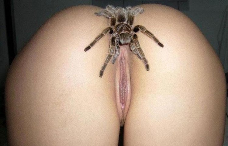 Женщины засовывают себе в вагину всяких насекомых (66 фото) - порно и фото голых на balagan-kzn.ru