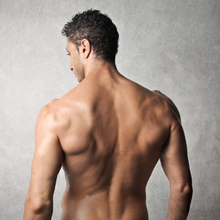 Мужская спина