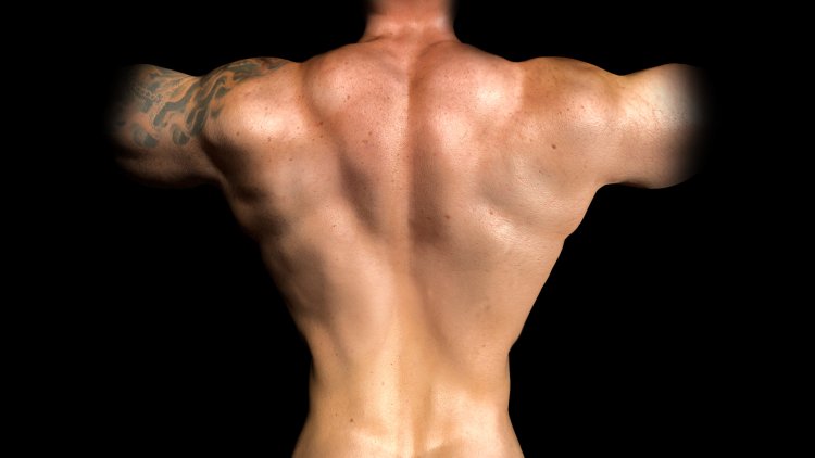 Джереми Потвин бодибилдер