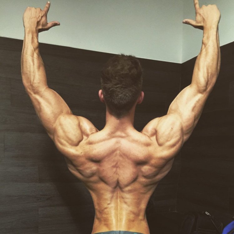 Пейдж Хэтэуэй Legs