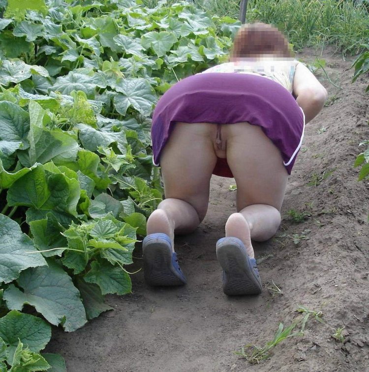 Дамы вагороде без трусов