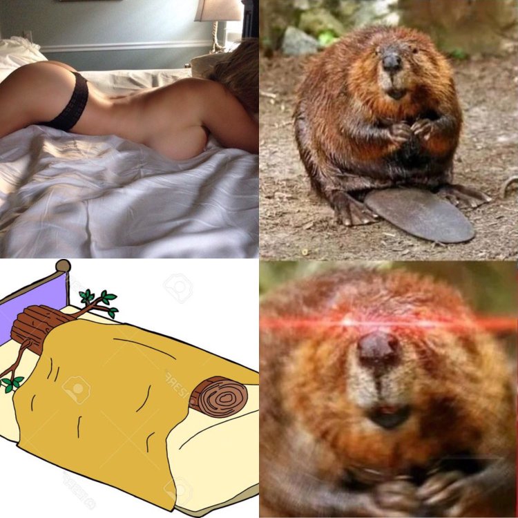Бобер Мем