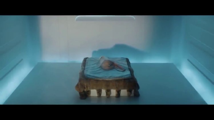 Katy Perry bon Appétit Official ft. Migos