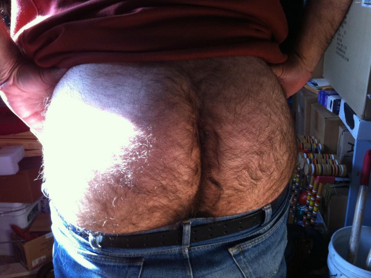 Волосатая мужская задница