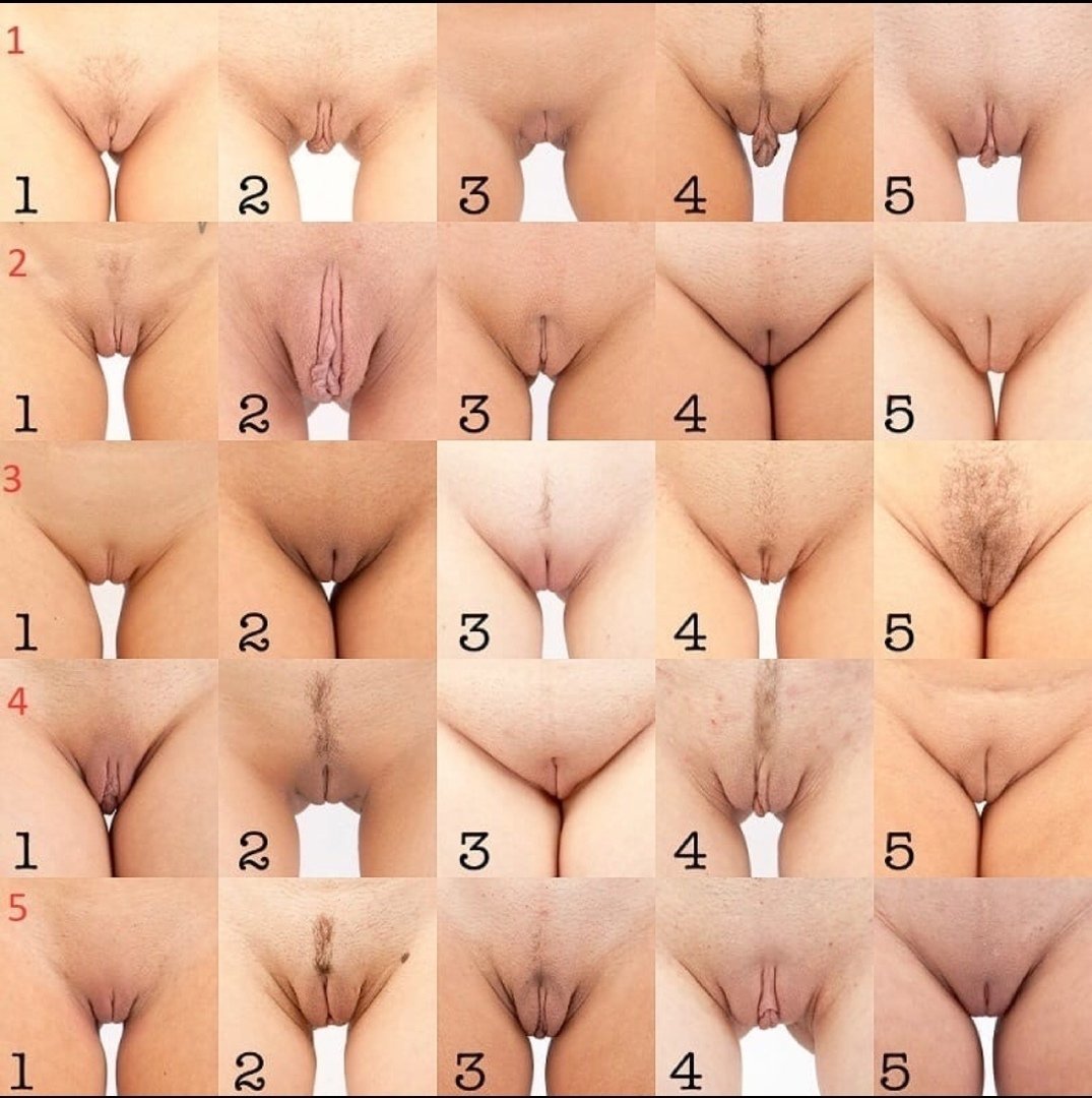 все виды вагин порно (120) фото