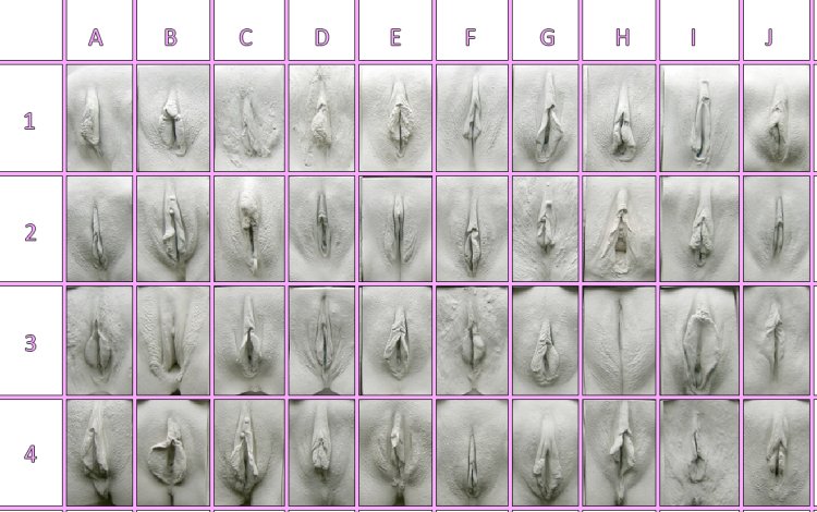 Виды вагины нарисована