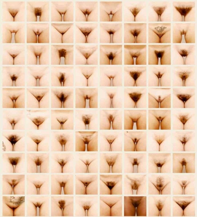 The great Wall of vagina Джейми Маккартни